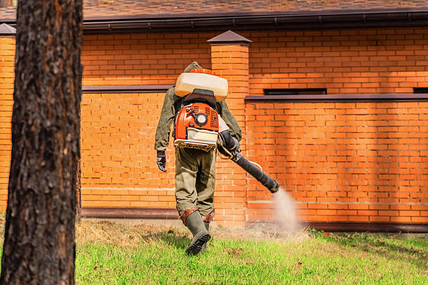 Bed Bug Clearance Verification and Documentation in North Plainfield